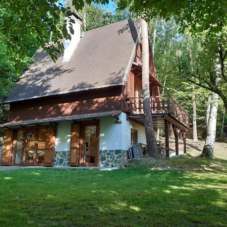 Holiday Home Zajicovi Rabyne Bagian luar foto